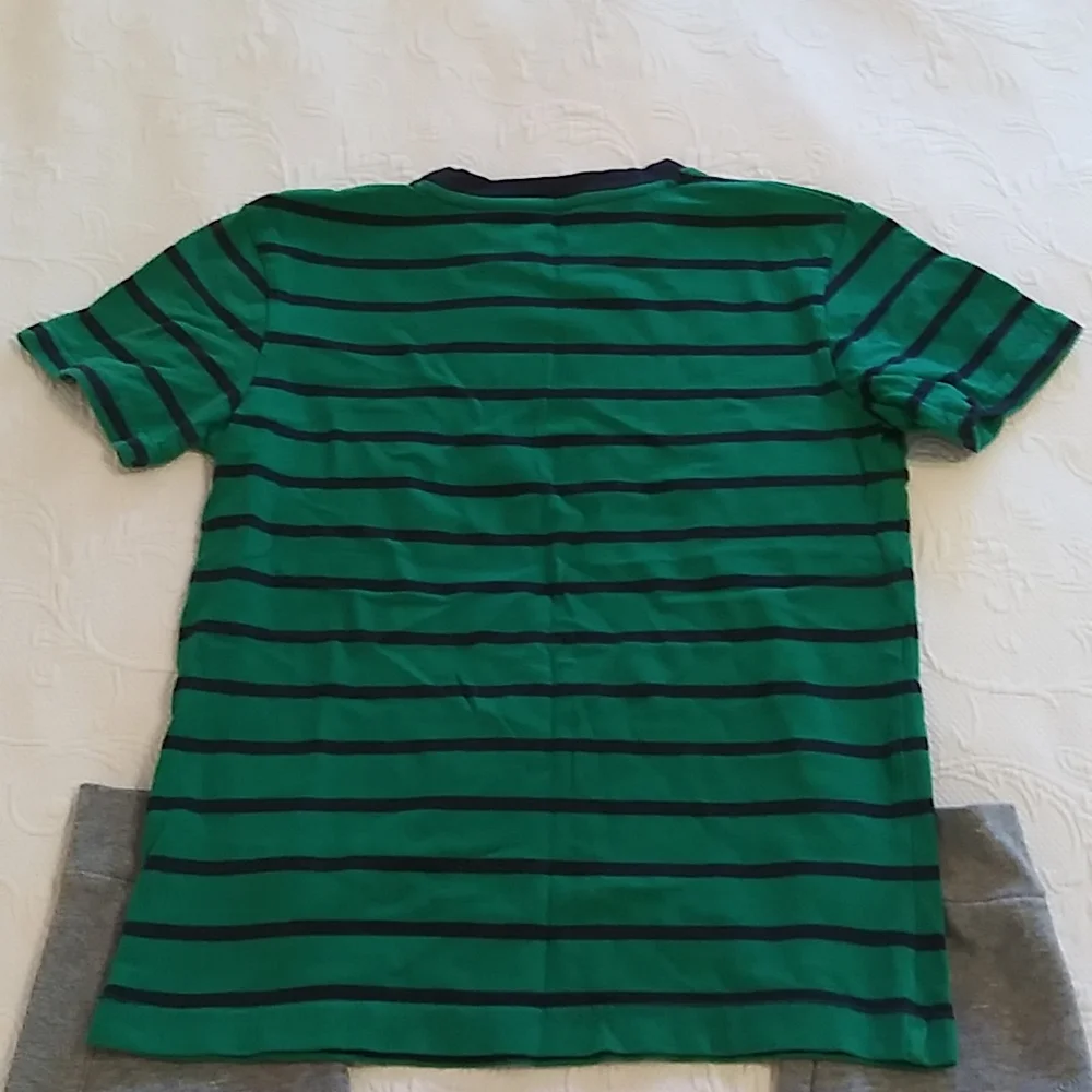 Boys bundle of Gymboree Tshirt size 10 & Champion Grey sweats joggers size 10/12 - Picture 6 of 10